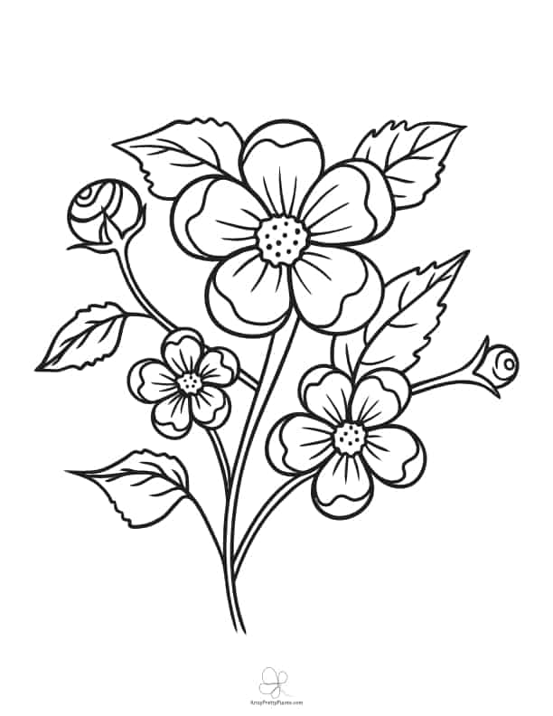 36 Carnation Flower Coloring Pages Beautiful Printable 23