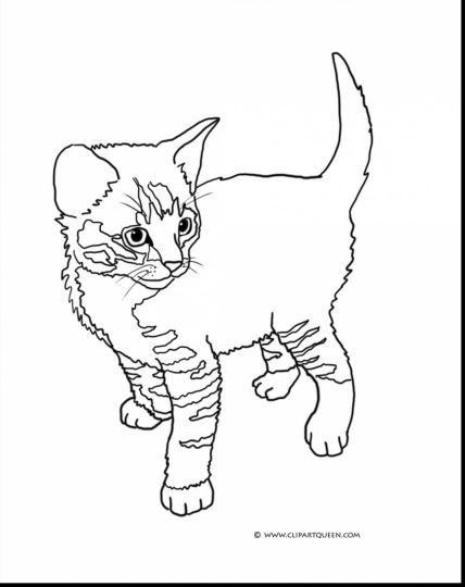 adorable kawaii kitten coloring pages printable jpg