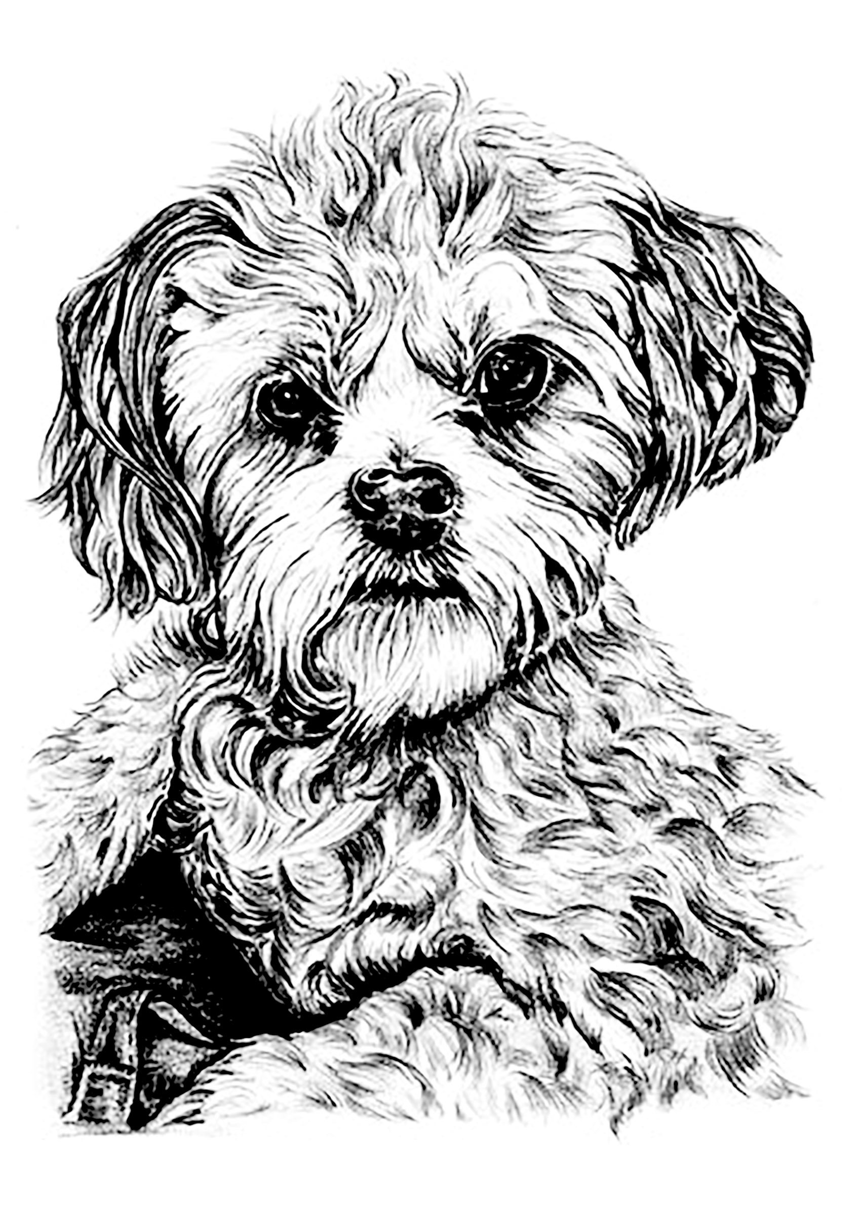 38 Pet Coloring Pages Adorable Printable 2