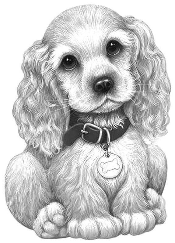 pet coloring pages adorable printable jpg