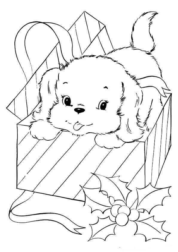 38 Pet Coloring Pages Adorable Printable 27