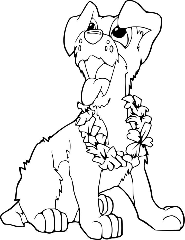 pet coloring pages adorable printable jpg