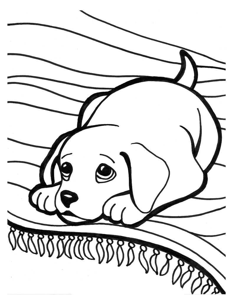 38 Pet Coloring Pages Adorable Printable 4