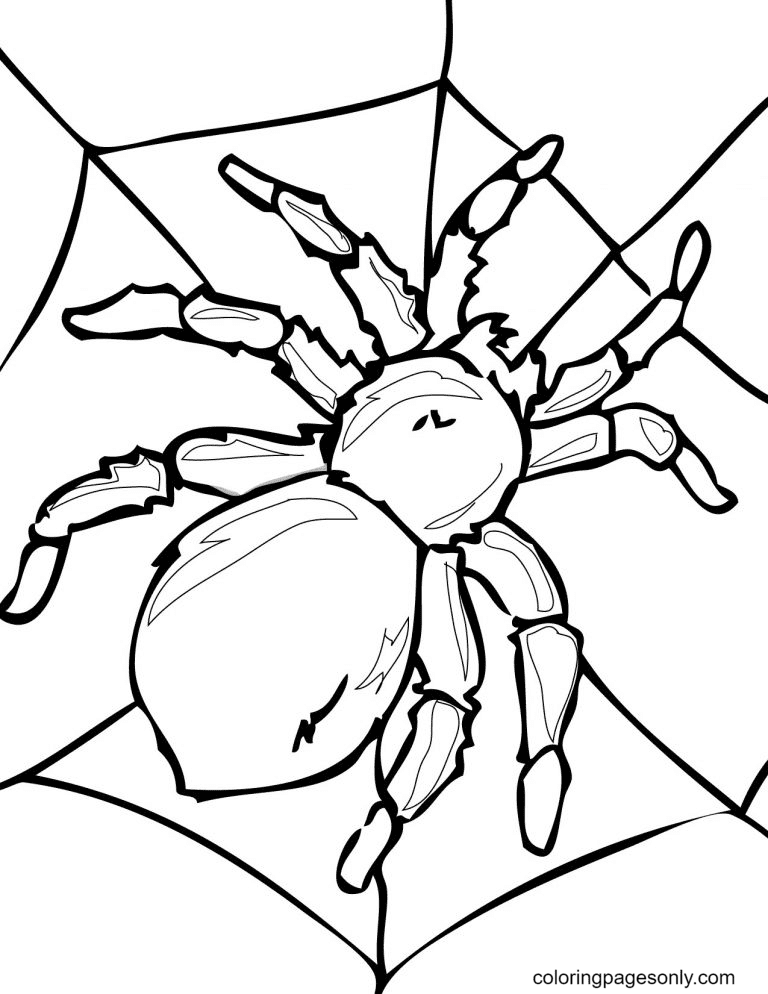 39 Free Halloween Spider Coloring Pages Printable 2