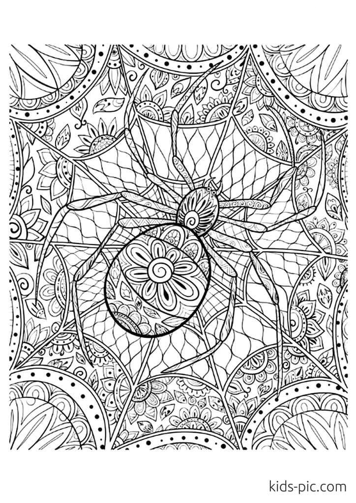 free halloween spider coloring pages printable jpg