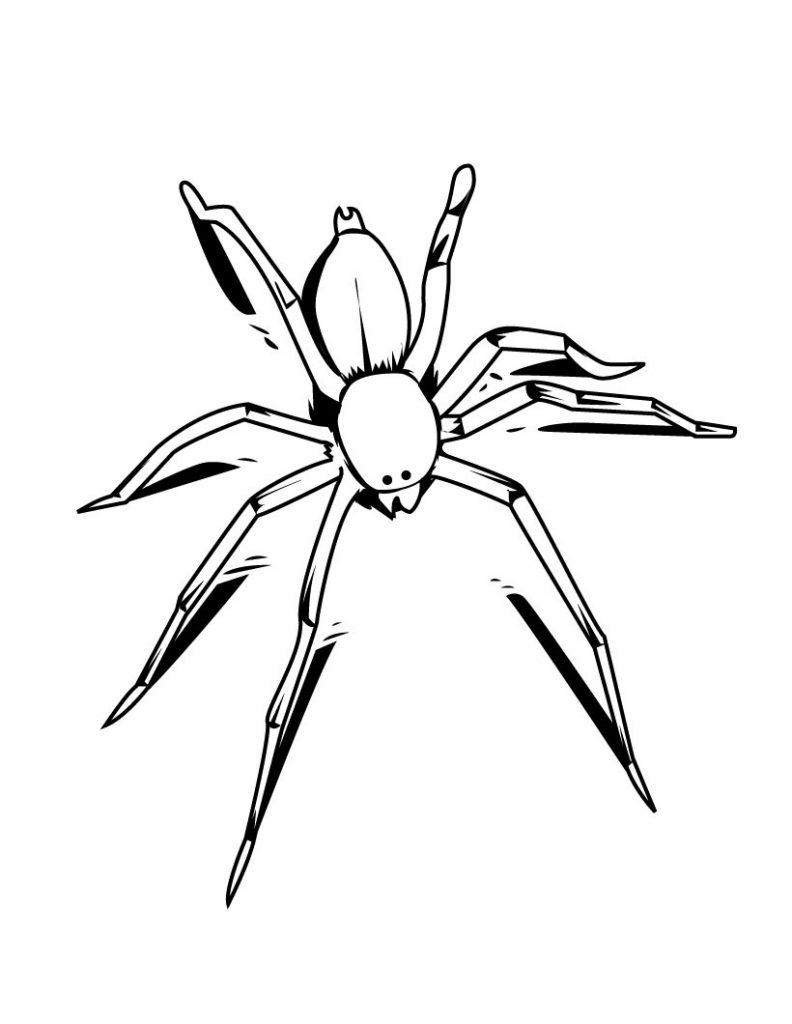 free halloween spider coloring pages printable jpg