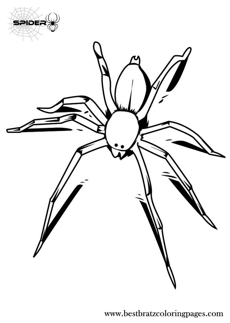 free halloween spider coloring pages printable jpg