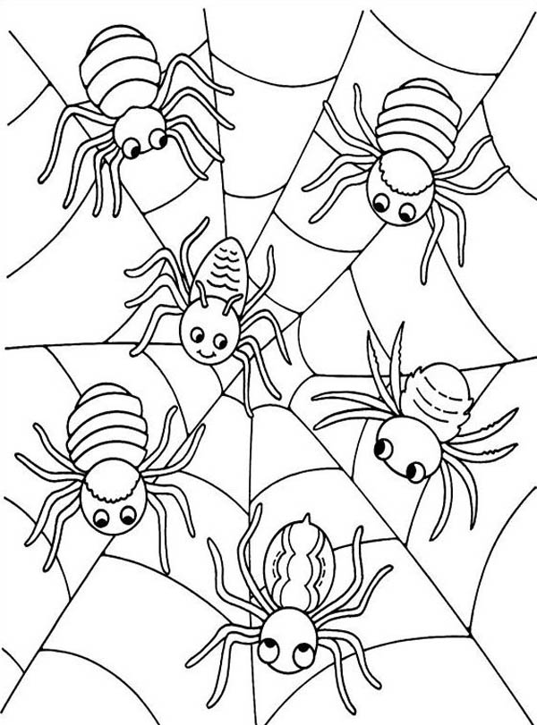 39 Free Halloween Spider Coloring Pages Printable 25