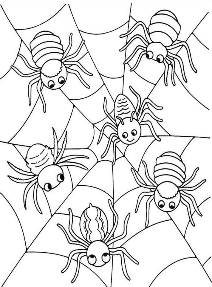 39 Free Halloween Spider Coloring Pages Printable 31