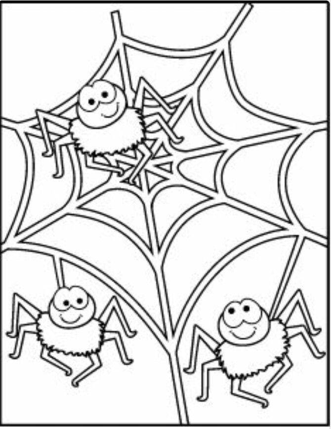 39 Free Halloween Spider Coloring Pages Printable 32