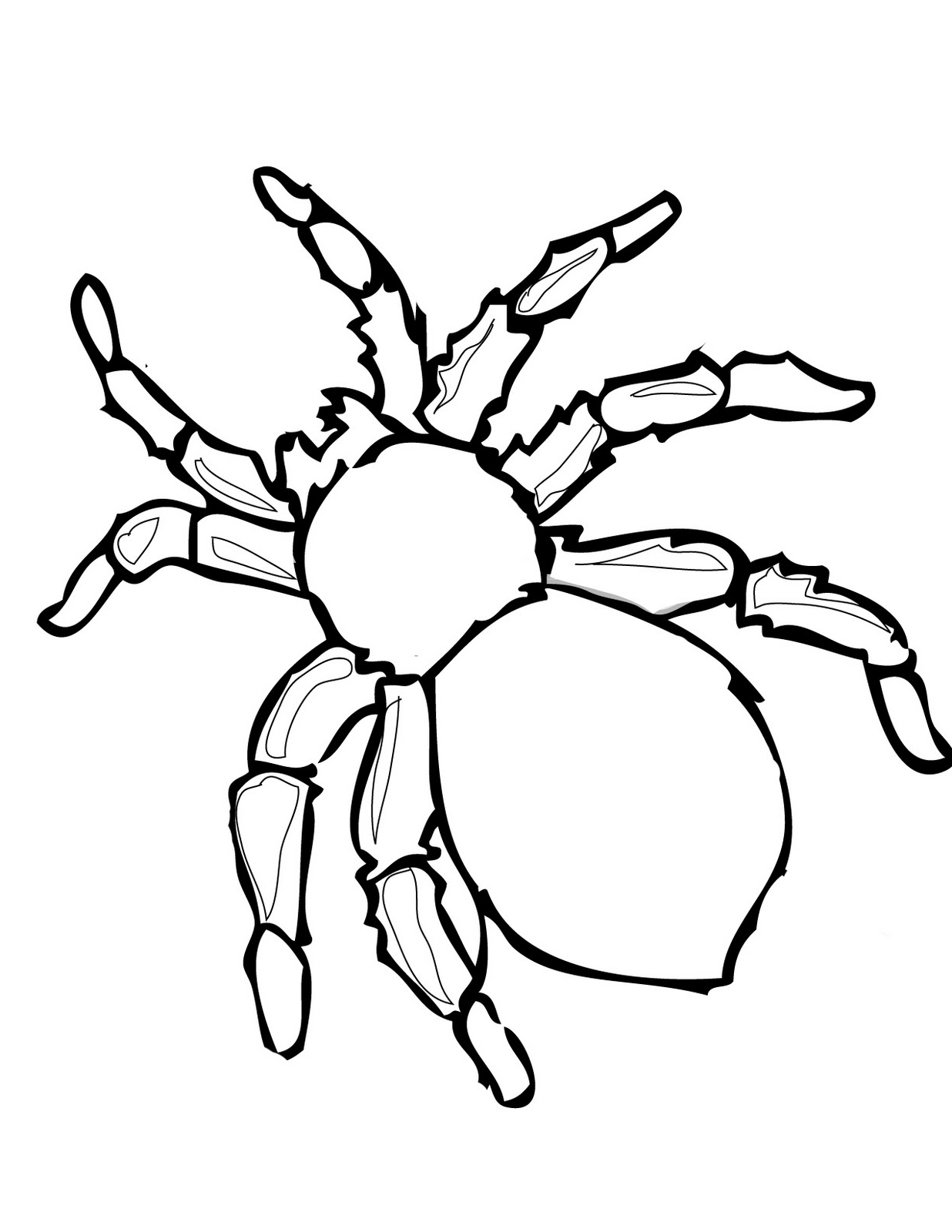 free halloween spider coloring pages printable jpg