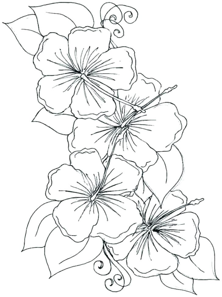 cheerful aloha coloring pages printable jpg