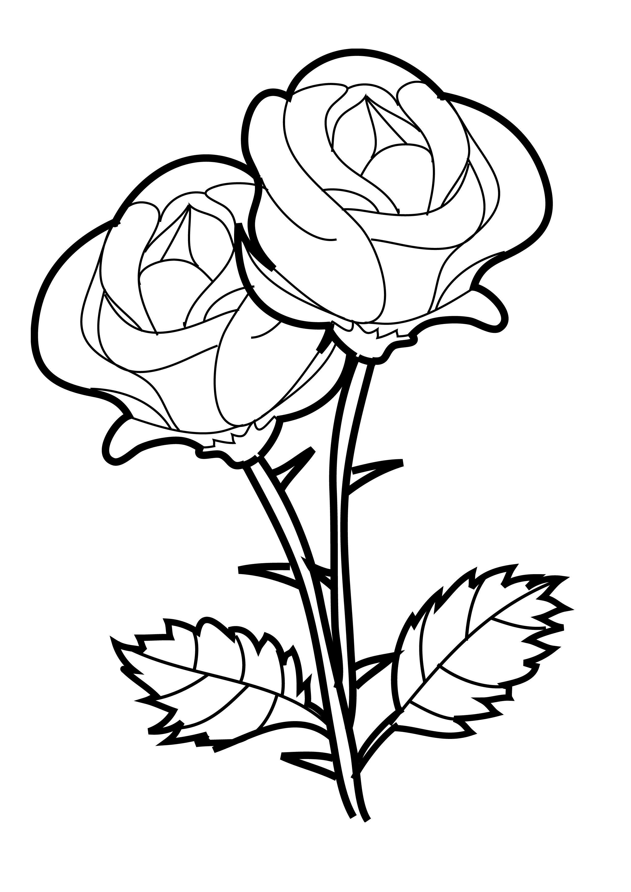 30+ Free Print a Coloring Page Printable