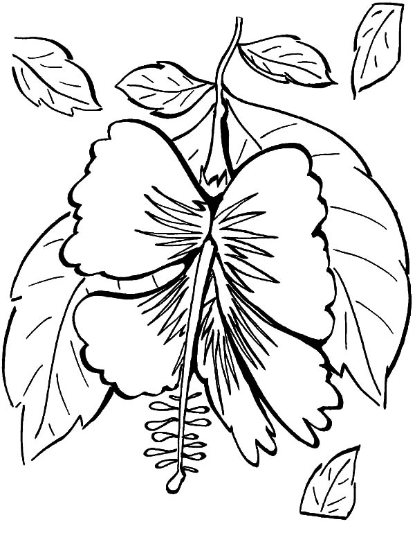 34+ Educational Aloha Coloring Pages Printable