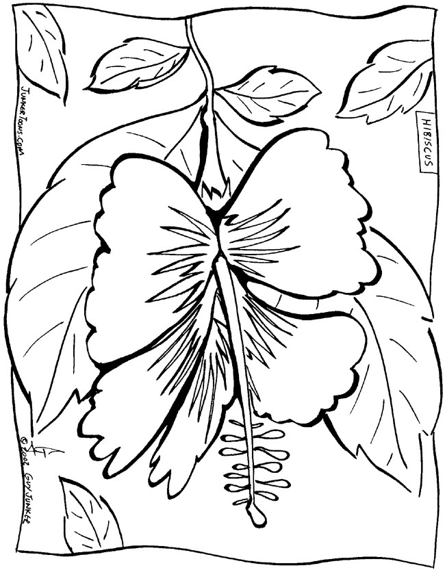 new aloha coloring pages printable jpg