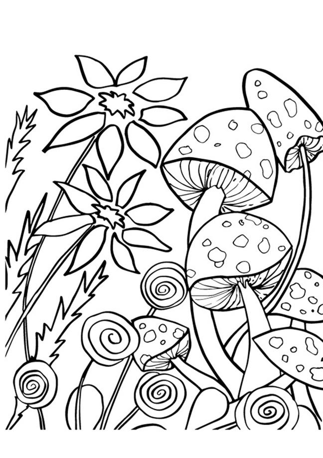 45+ Unique Simple Adult Coloring Pages Mushrooms Colored