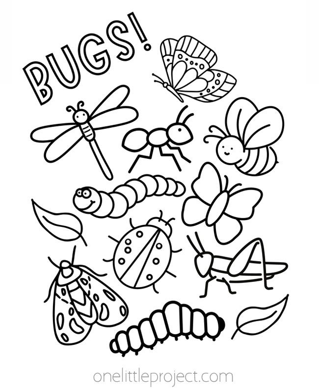 28 Back to School Coloring Pages Free Printable 5