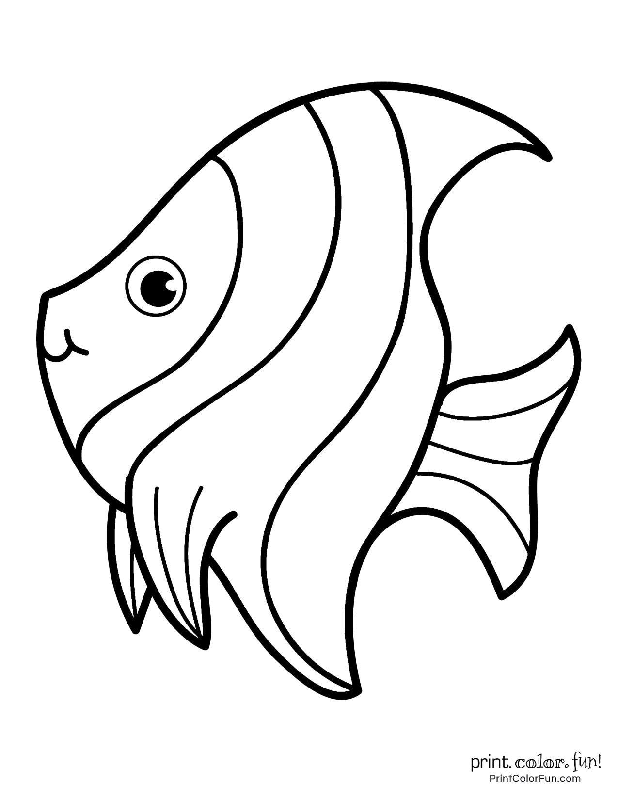 61 Fish Coloring Pages Free Printable 1